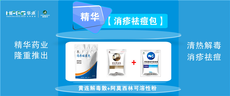 科普：夏秋季节猪湿疹病的防控技术 |【消疹祛痘包】清热解毒、消疹祛痘，防控六畜湿疹病首。