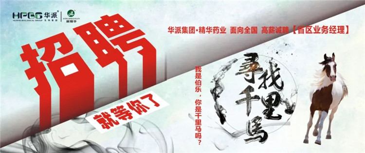 寻找千里马 | 华派集团&bull;J9集团药业面 向全国高薪诚聘【省区业务经理】 我是伯乐，你是千里马吗？