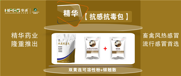 科普：几种常见畜禽感冒与盛行性感冒的防控 |【抗感抗毒包】抗菌消炎、解热排毒、抗毒增免，畜禽风热感冒、盛行感冒首选!