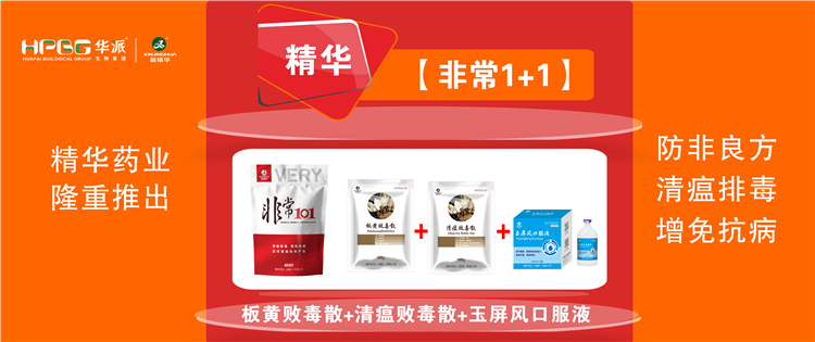 科普：非洲猪瘟防控措施 |【极度1+1】防非良方, 清瘟排毒、增免抗病，加快猪瘟抗体产生!